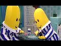 Pyjama Party Classic Episode Bananas In Pyjamas Official