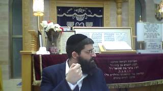 פרקי אבות - פרק ב' משנה ז' - ענת מלמדת אותנו שאם רוצים נרוונה ומגע באושר, לא חייבים לנסוע למנזר