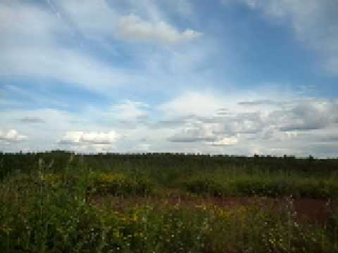 cade doing a nothing