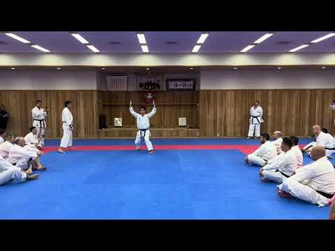 Hangetsu kata JKS Kanayama Sensei 