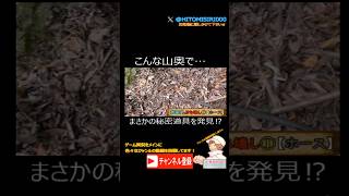 こんな山奥で…まさかの秘密道具を発見！？　#ドラえもん　#秘密道具　#リアル