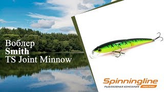 Smith - ts joint minnow 110sp