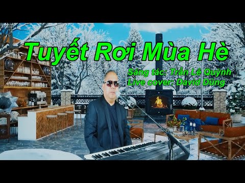 TUYẾT RƠI MÙA HÈ (BOSSA NOVA) | S/T: TRẦN LÊ QUỲNH | DAVID DŨNG (LIVE COVER)