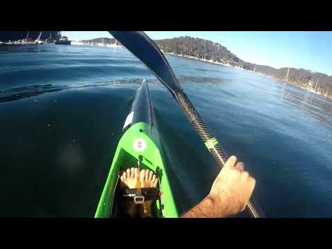 after race 6 harbour series 2018 paddle