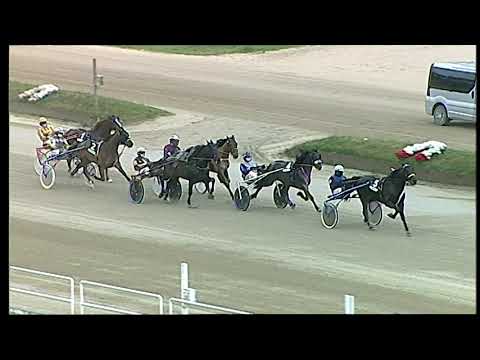 Napoli Trotto 07/02/2021 - 1ª corsa