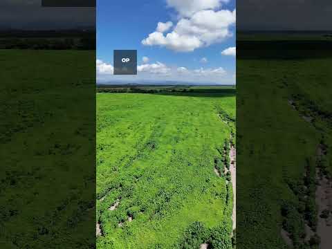 🌾 CAMPO AGRÍCOLA EN VENTA – 196 HECTÁREAS – PAMPA BLANCA – JUJUY 🚜