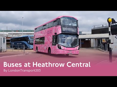 Buses at Heathrow Central