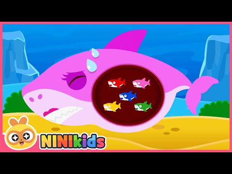 ¡La mamá tiburón está enferma! | Da a luz a un bebé | Bebé tiburón | NINIkids español