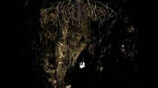 Wolves In The Throne Room - The Cleansing
