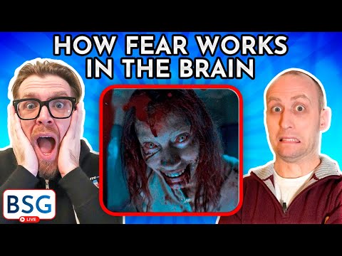 How Fear Works In The Brain | The Rad & Norty Show | March 3, 2023