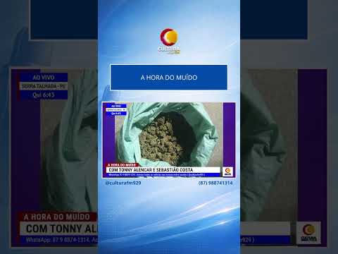 PM apreende mais de 4 kg de maconha em Lagoa Grande