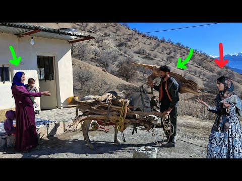 When the First Wife Left: New Peace for Shahrbanu and Ali and Preparing Firewood in Winter ❄🪵👩‍❤️‍👨