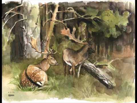 Jaghornsignale die Begrüssung