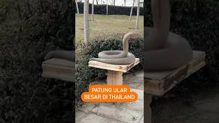 Download lagu Patung ular besar di Thailand | AAUTAP mp3