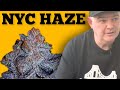New York Cannabis History: The HAZE & White Boy Kev