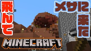 マイクラ 【飛んでメサに行ってきた】 28回目