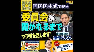 国民民主党 深作ヘスス委員会が開催されるまで 4月29日