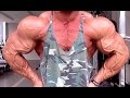 Delts - Triceps - Traps