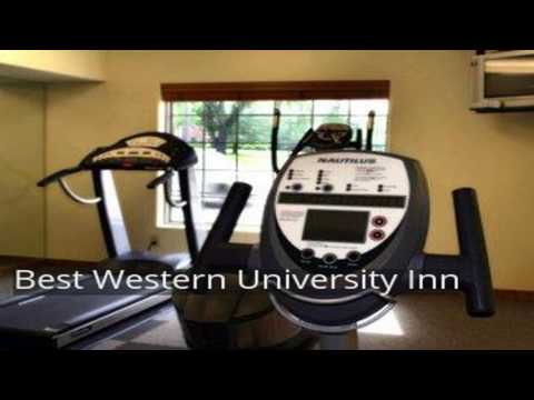 Best Western University Inn
