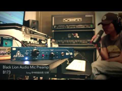 Black Lion Audio Mic Preamp B173  VS  AUTEUR