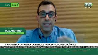 Miniatura do vídeo