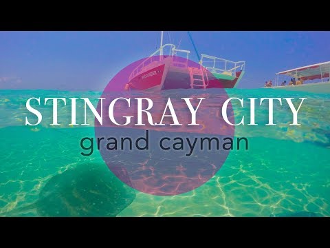 Stingray City Cayman Islands Snorkeling Royal Caribbean Navigator of the Seas Excursion Video