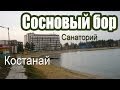 Санаторий Сосновый бор г. Костанай 