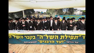 גדולי ישראל במעמד תפילה בקבר השל''ה בטבריה