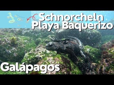 Ist das DER kostenlose Schnorchel-Geheimtipp von San Cristóbal (Galápagos)?