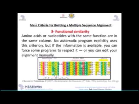 H3ABioNet IBT_2016: Module Multiple Sequence Alignment (Lecture1)