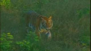 ভিডিও গ্যালারী ও গুগল ম্যাপস