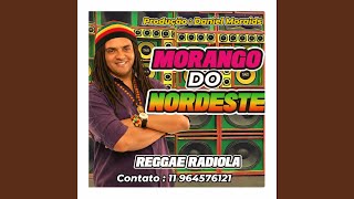 Download lagu Reggae da Baixada do Maranhão 2026 – MELO DE MORANGO DO NORDESTE Reggae Limpo Remix Radiola... mp3