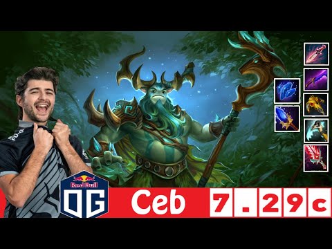 [DOTA 2] OG.Ceb the NATURE'S PROPHET [OFFLANE] [7.29C]