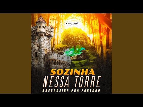 Sozinha Nessa Torre Bregadeira Pra Paredão