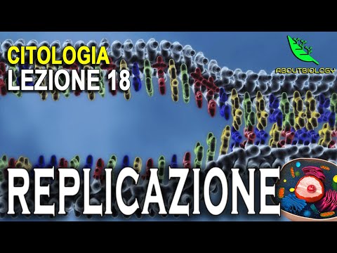 DNA REPLICATION -Cytology Lecture 18
