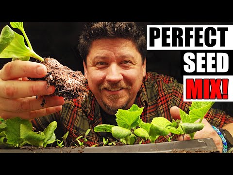 Easy DIY Seed Starting Soil Mix - Garden Quickie Episode 234