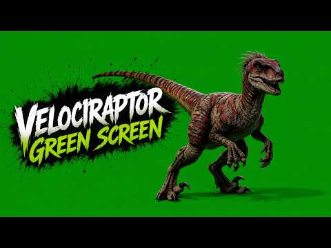 Velociraptor 4K Green Screen | Epic 15+ T rex Realistic Animation | ( Non Copyright )