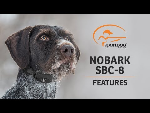 SportDOG Brand® NoBark SBC-8 :: Features
