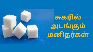 Daily Super Science Fact 1 Physics  1 | Phenix Academy Tambaram Coaching Center in Chennai Tamilnadu