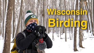 Birding During the Holidays in Wisconsin