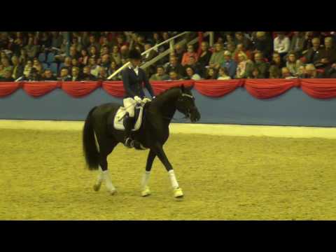 For Final Althengstparade OLD 2016