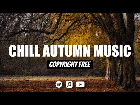 12 Hours of Free Background Music - Copyright Free Music for Creators and Streamers