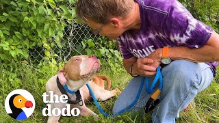 Woman Saves Pittie Abandoned On The Highway | The Dodo by The Dodo