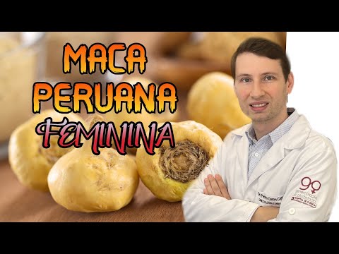 CONHEÇA: MACA PERUANA PARA QUE SERVE feminina e COMO TOMAR.