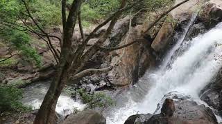preview picture of video 'Pulla veli falls Thandikudi'