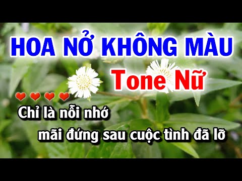 Karaoke Hoa Nở Không Màu - Tone Nữ - Nhạc Sống Tuyết Mai
