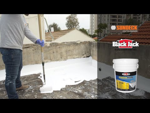 בלאק גק חומר איטום גגות