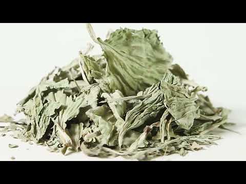   Подорожник лист