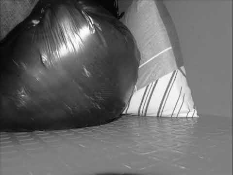 Bar de reggae - Yuri Sosa