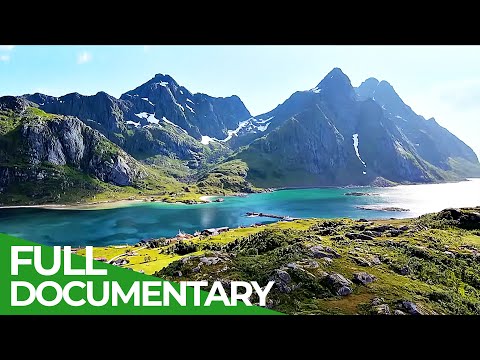 Beauty of the North